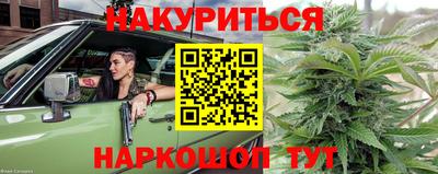 гидропоника Гусев