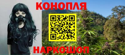 гидропоника Гусев