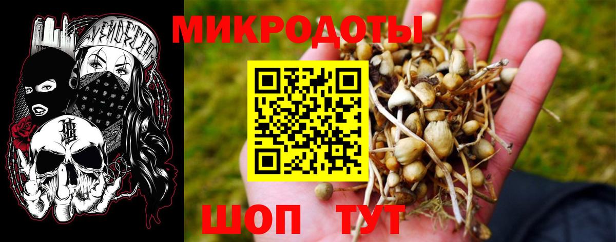 Псилоцибиновые грибы мицелий Наро-Фоминск
