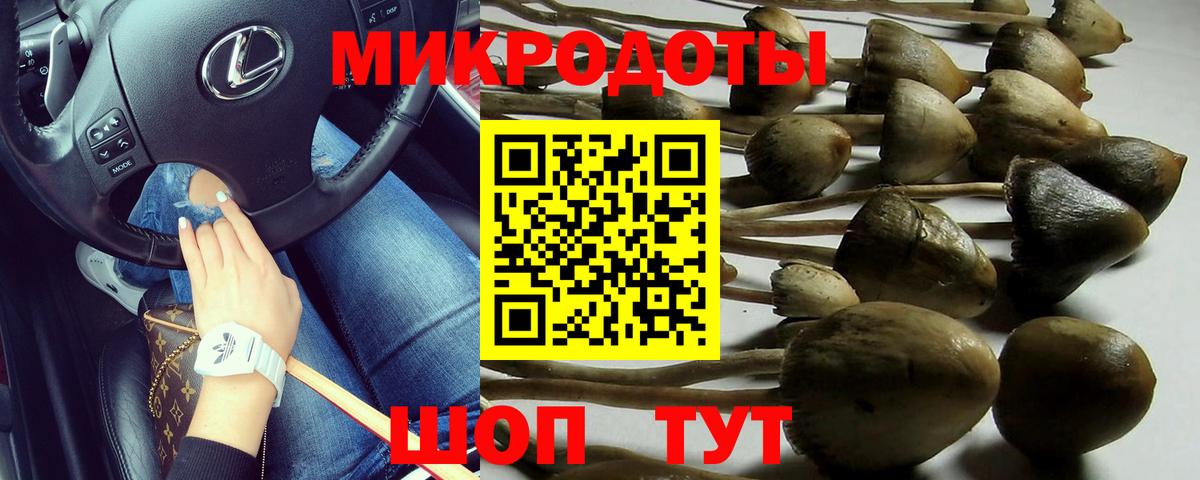 Псилоцибиновые грибы GOLDEN TEACHER  Вход с VPN  наркошоп  Наро-Фоминск 